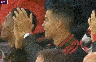 动画 (3490).gif